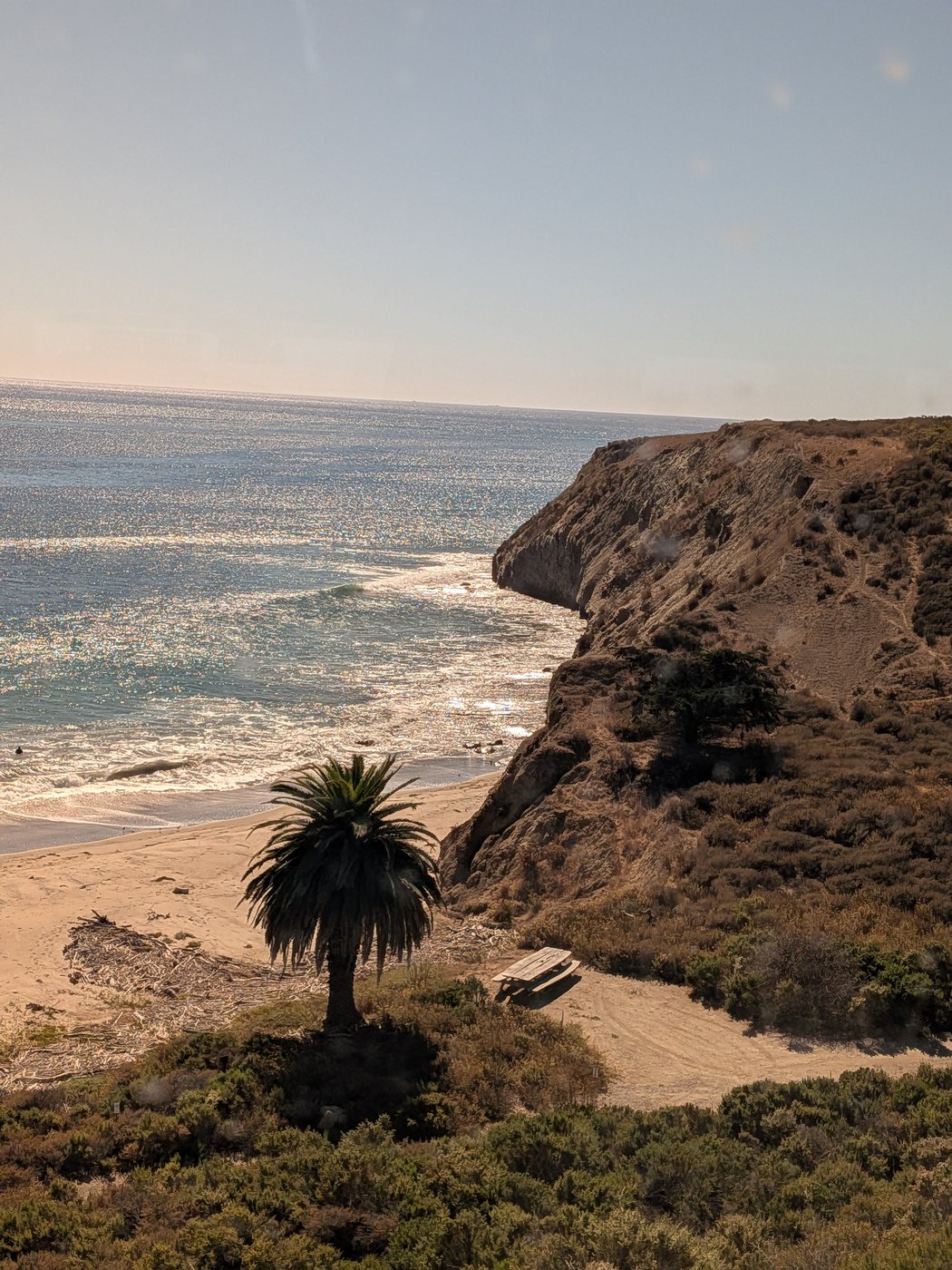 A palm tree on the cliffs above a beach, seen from the train