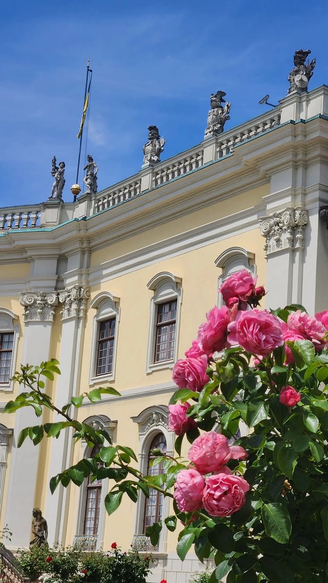 Roses in front of a palace