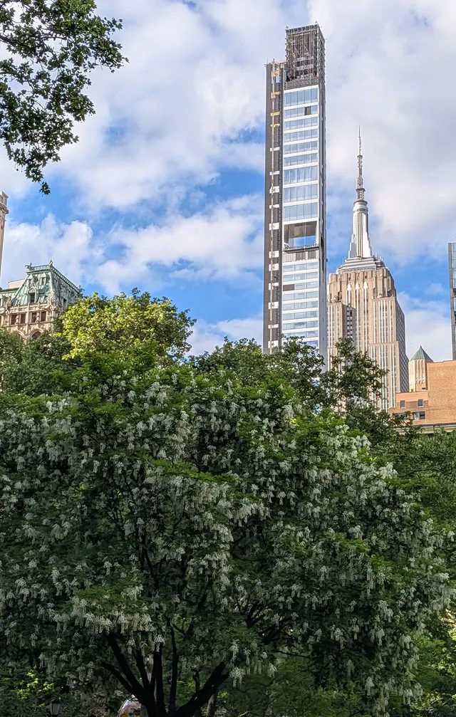 Midtown Manhattan above the trees